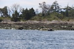 resIMG_20170710_142006_8428.JPG